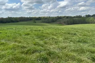 965 Goose Neck Rd, Eastanollee, GA 30538 - Photo 1