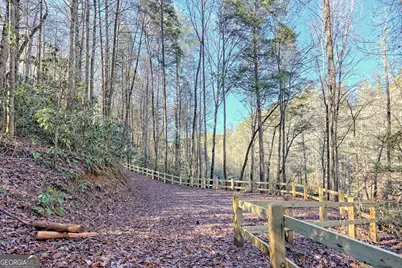 14 Big Shoals Trail, Tiger, GA 30576 - Photo 24