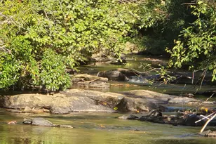 7680 Banks Mill Rd, Douglasville, GA 30135 - Photo 36