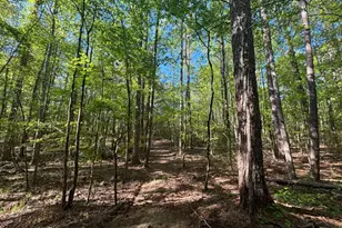 3148 Trammell Bottom Rd, Hogansville, GA 30230 - Photo 6