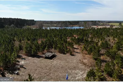 275 Marchants Dairy Road, Rhine, GA 31077 - Photo 36