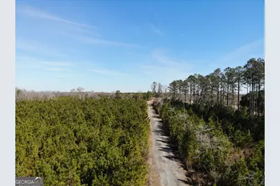 275 Marchants Dairy Road, Rhine, GA 31077 - Photo 38