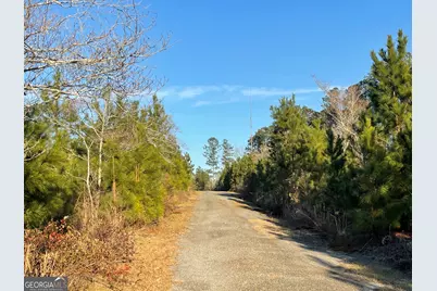 275 Marchants Dairy Road, Rhine, GA 31077 - Photo 16