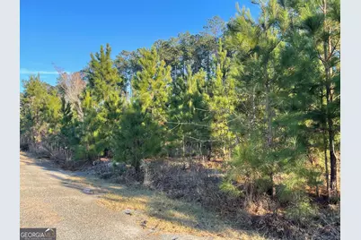 275 Marchants Dairy Road, Rhine, GA 31077 - Photo 18