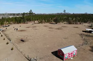 275 Marchants Dairy Rd, Rhine, GA 31077 - Photo 38