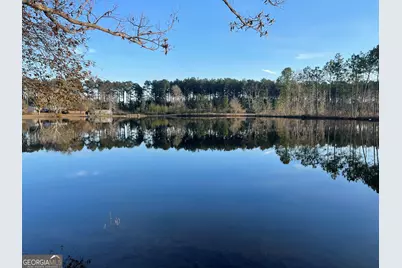 275 Marchants Dairy Road, Rhine, GA 31077 - Photo 24