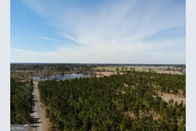275 Marchants Dairy Road, Rhine, GA 31077 - Photo 1