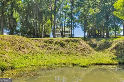 114 Waterfront Drive, Cobb, GA 31735 - Photo 54