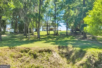 114 Waterfront Drive, Cobb, GA 31735 - Photo 48