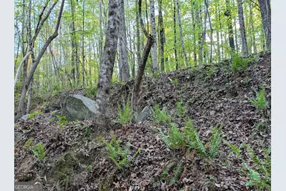 0 Ga Hwy 116, Hamilton, GA 31811 - Photo 10