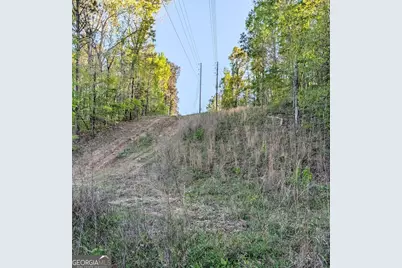 0 Ga Hwy 116, Hamilton, GA 31811 - Photo 18