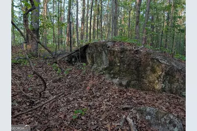 0 Ga Hwy 116, Hamilton, GA 31811 - Photo 16