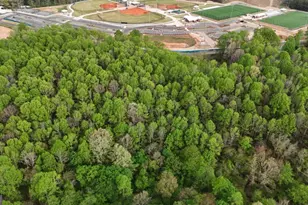 0 Burruss Mill Rd, Cumming, GA 30041 - Photo 4