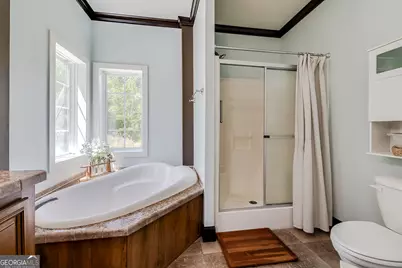 1459 Emmanuel Barrow Road, Claxton, GA 30417 - Photo 20