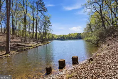 33 Kingfisher Point, Big Canoe, GA 30143 - Photo 44