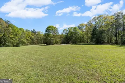 812 Pine Grove Road, Tallapoosa, GA 30176 - Photo 42