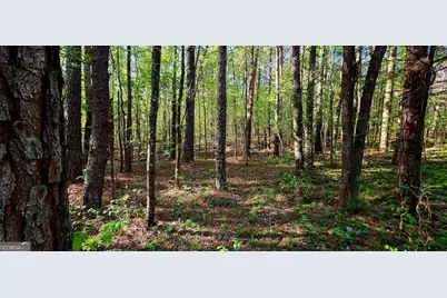 0 Plainview Road, Maysville, GA 30558 - Photo 6