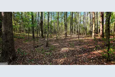 0 Plainview Road, Maysville, GA 30558 - Photo 8