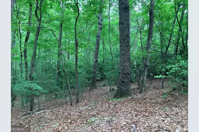 277 Hamilton Road, Blairsville, GA 30512 - Photo 26