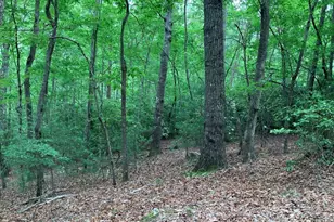 277 Hamilton Rd, Blairsville, GA 30512 - Photo 26