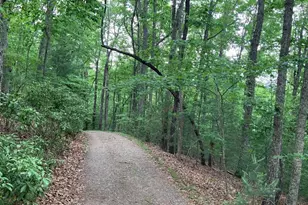 277 Hamilton Rd, Blairsville, GA 30512 - Photo 22