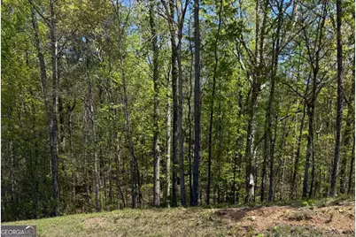 0 US Hwy 27, Bremen, GA 30110 - Photo 2