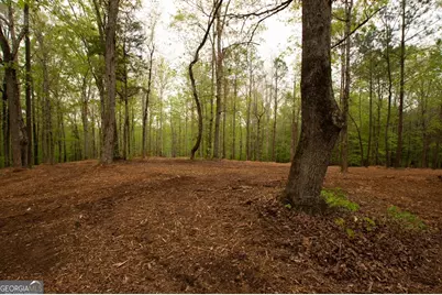 0 River Overlook, Forsyth, GA 31029 - Photo 4
