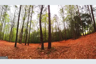 0 River Overlook, Forsyth, GA 31029 - Photo 8