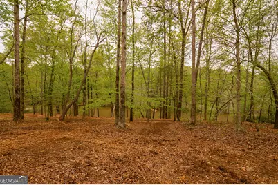 0 River Overlook, Forsyth, GA 31029 - Photo 12
