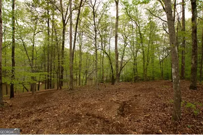 0 River Overlook, Forsyth, GA 31029 - Photo 6