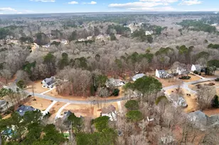 100 Sycamore Way, Sharpsburg, GA 30277 - Photo 56