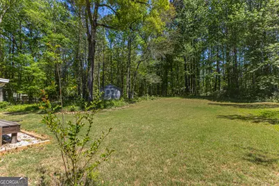 100 Sycamore Way, Sharpsburg, GA 30277 - Photo 50