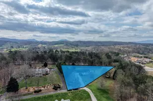 161 High Country Crossing, Morganton, GA 30560 - Photo 4