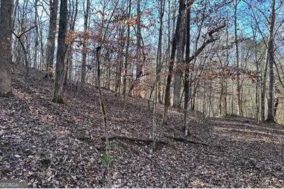 8555 Woodland Brooke Trail, Cumming, GA 30028 - Photo 6