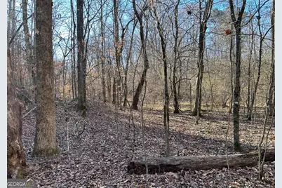 8555 Woodland Brooke Trail, Cumming, GA 30028 - Photo 26