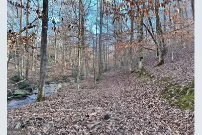 8555 Woodland Brooke Trail, Cumming, GA 30028 - Photo 28