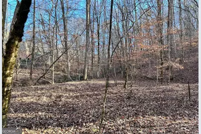 8555 Woodland Brooke Trail, Cumming, GA 30028 - Photo 24