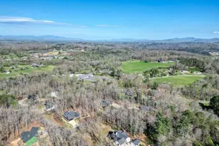 9674 Old Hwy 76, Morganton, GA 30560 - Photo 46