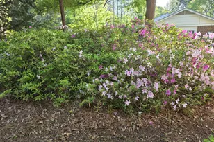 126 Honeysuckle Rd, Monticello, GA 31064 - Photo 26