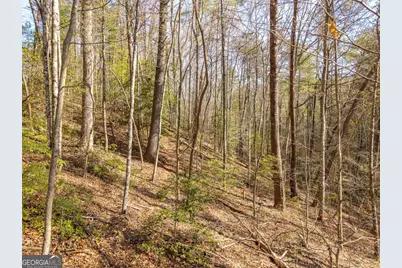4.38 A Mountain Tops Road, Blue Ridge, GA 30513 - Photo 8