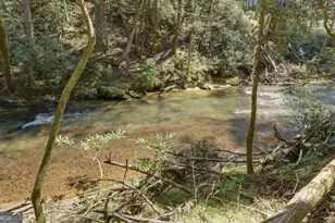 380 Bear Foot Drive, Blue Ridge, GA 30513 - Photo 44