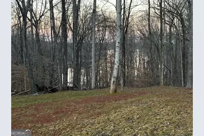 159 Wolf Creek Cove, Lagrange, GA 30240 - Photo 74