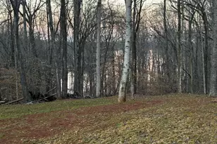 159 Wolf Crk Cv, Lagrange, GA 30240 - Photo 74