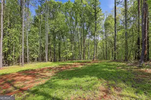 159 Wolf Crk Cv, Lagrange, GA 30240 - Photo 54