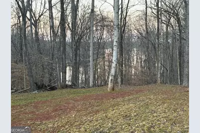 159 Wolf Creek Cove, Lagrange, GA 30240 - Photo 78