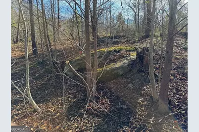 738 Old Mineral Springs Road, Elberton, GA 30635 - Photo 16