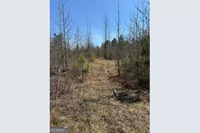 738 Old Mineral Springs Road, Elberton, GA 30635 - Photo 20