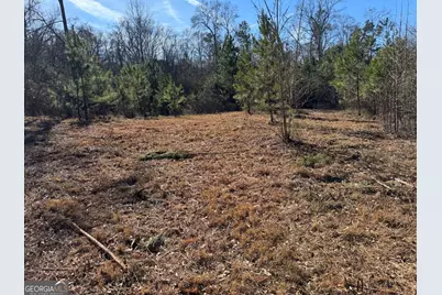 738 Old Mineral Springs Road, Elberton, GA 30635 - Photo 12