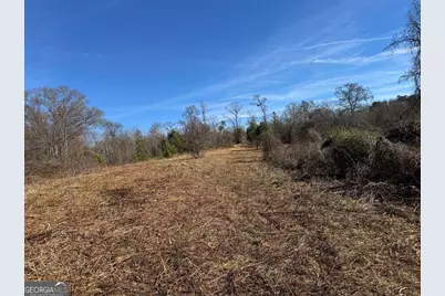 738 Old Mineral Springs Road, Elberton, GA 30635 - Photo 6