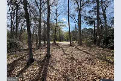 738 Old Mineral Springs Road, Elberton, GA 30635 - Photo 4